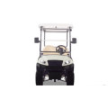 Jardin populaire noble 2 places 48V pas cher mini chariot de golf électrique